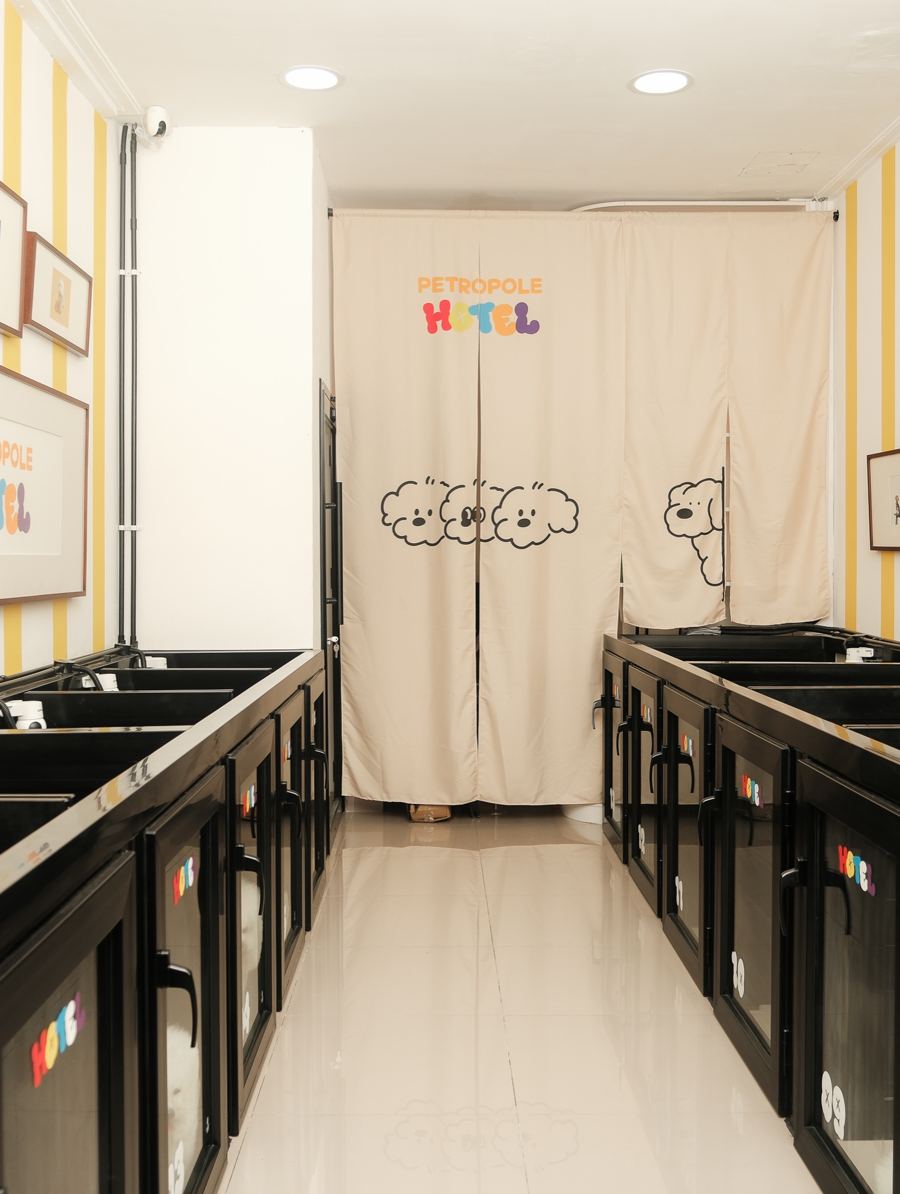 Lorong kamar PETROPOLE Hotel dengan tirai bergambar anjing