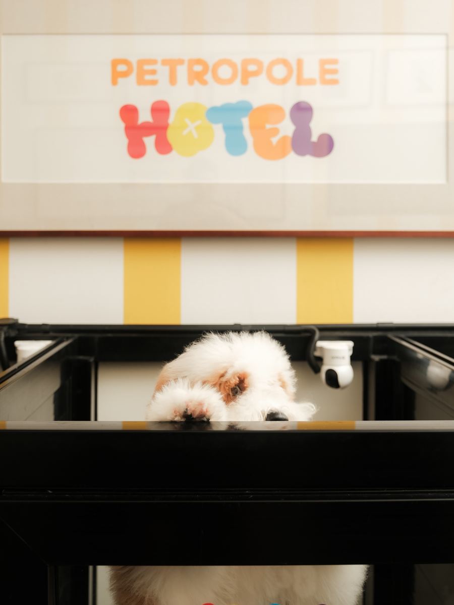 Papan PETROPOLE Hotel di atas kamar